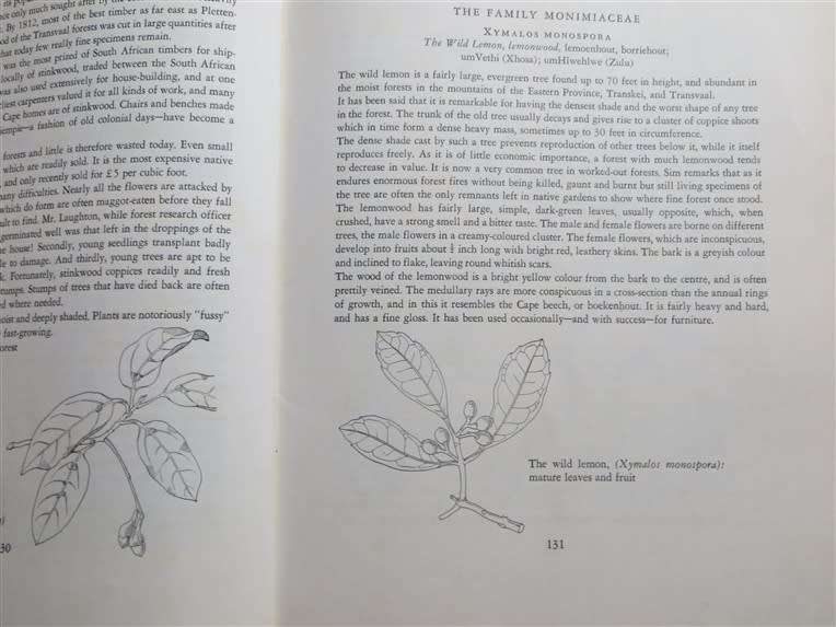 TREES OF SOUTH AFRICA - Palmer & Pitman VOL.1 1961