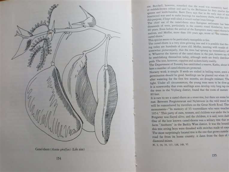 TREES OF SOUTH AFRICA - Palmer & Pitman VOL.1 1961