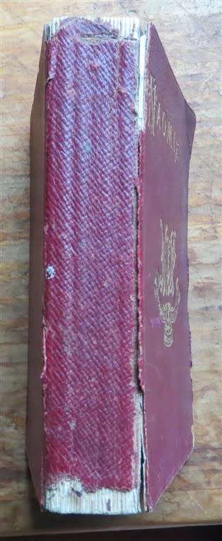 1896 Naomi - The Last Days of Jerusalem - J.R Webb