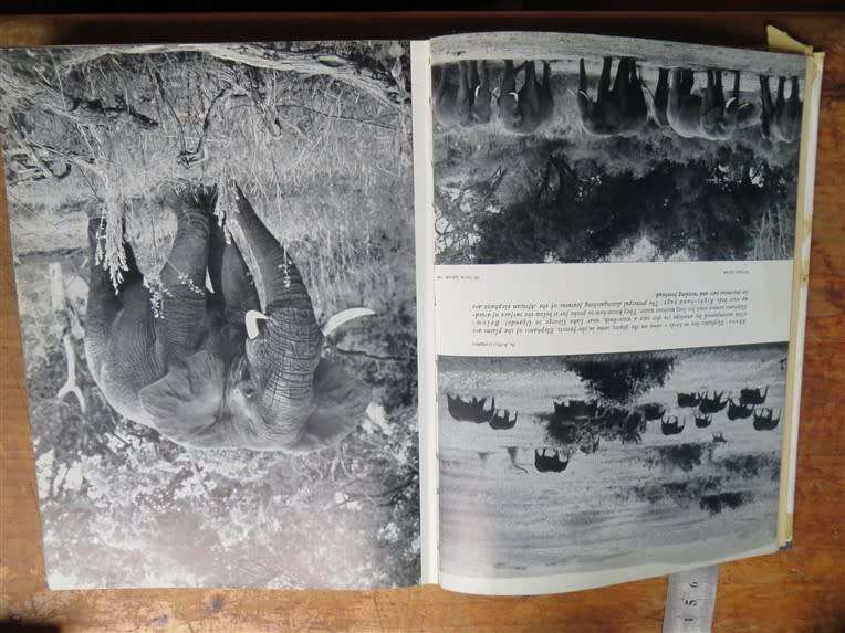 1962 Survival of the Free - The Last Strongholds of Wild Animal Life - Dr W.Engelhart