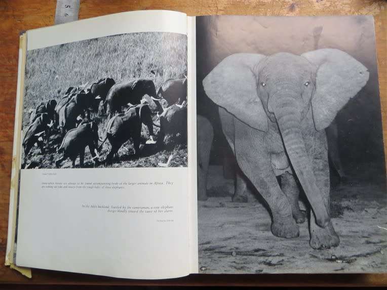 1962 Survival of the Free - The Last Strongholds of Wild Animal Life - Dr W.Engelhart