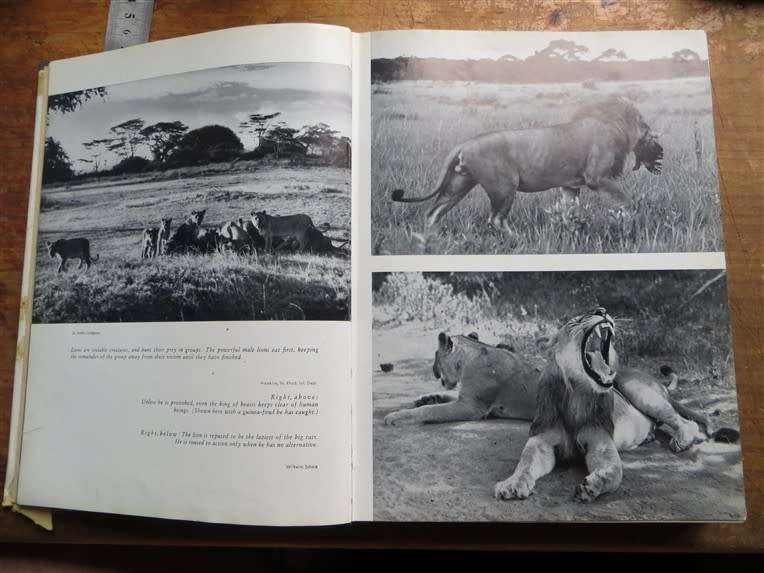 1962 Survival of the Free - The Last Strongholds of Wild Animal Life - Dr W.Engelhart