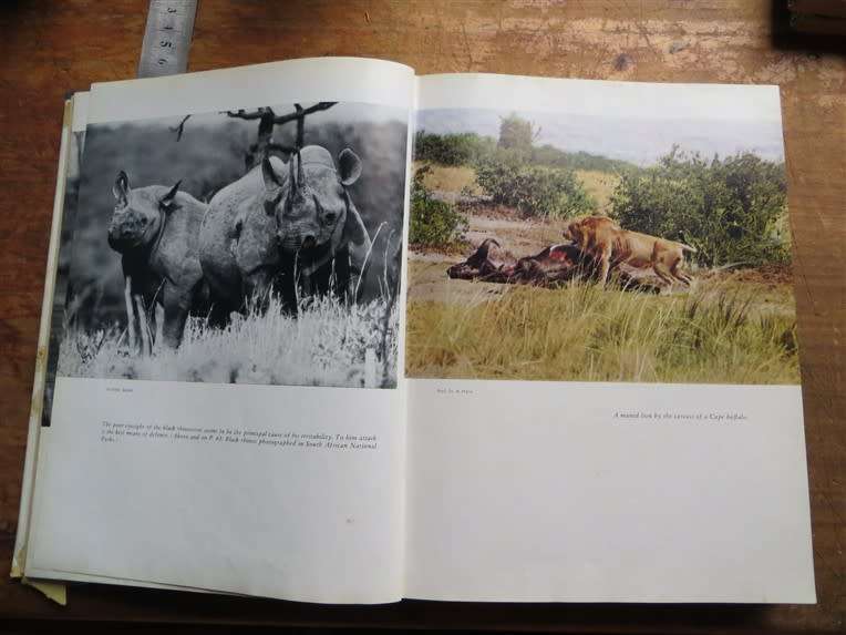 1962 Survival of the Free - The Last Strongholds of Wild Animal Life - Dr W.Engelhart