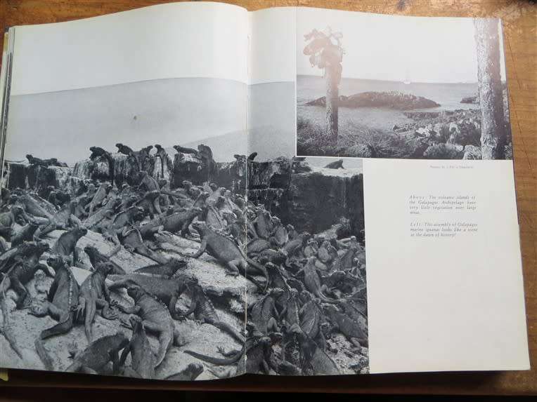 1962 Survival of the Free - The Last Strongholds of Wild Animal Life - Dr W.Engelhart