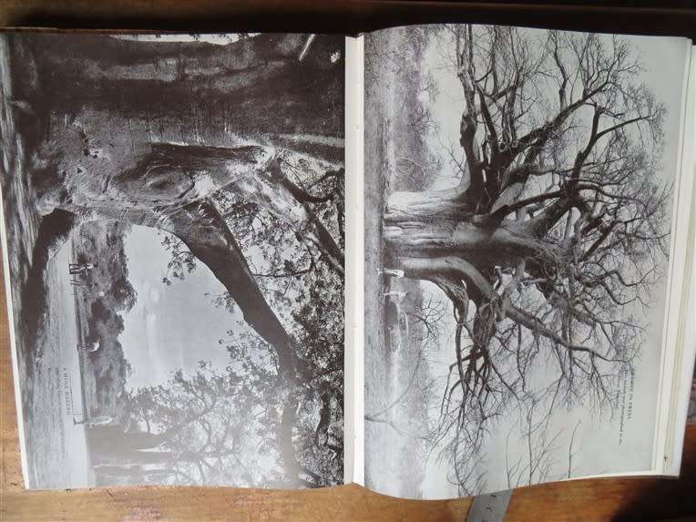 1959 Joyful Errand - C.S Stokes - Signed by A.F Gillies (Book dedicated to Gillies)