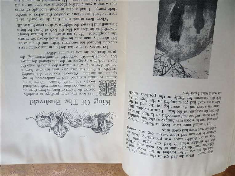 1951 Call of the Bushveld - A.C White