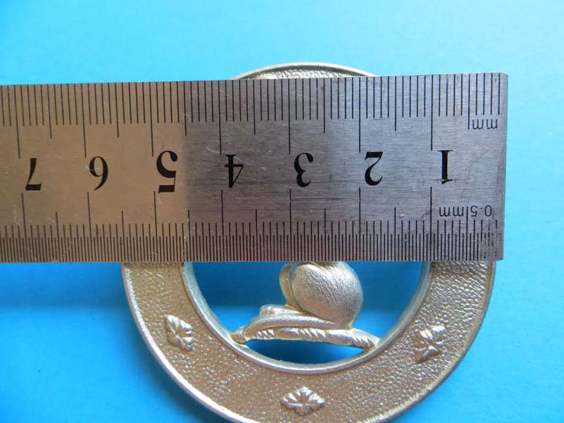 Large Seaforth Highlander 55mm Badge  **SCARCE**