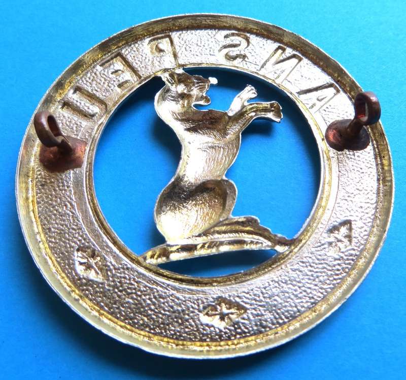 Large Seaforth Highlander 55mm Badge  **SCARCE**