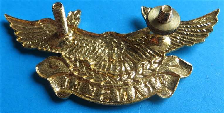 Transkei Military Air Wing Cap Badge