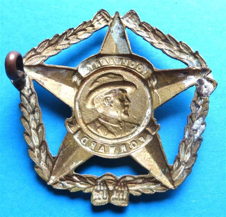 SOUTH AFRICA Defence Force (SADF) - Regiment Botha Cap Badge