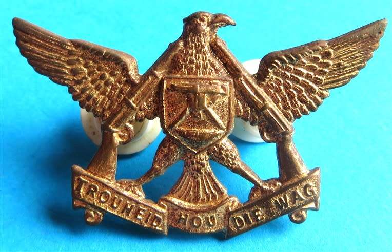 Regiment De Wet 2 Pin Badge