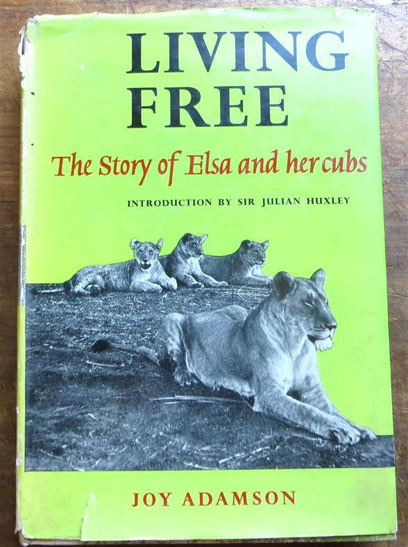 1961 Living Free - Joy Adamson - The Story of Elsa & Her Cubs