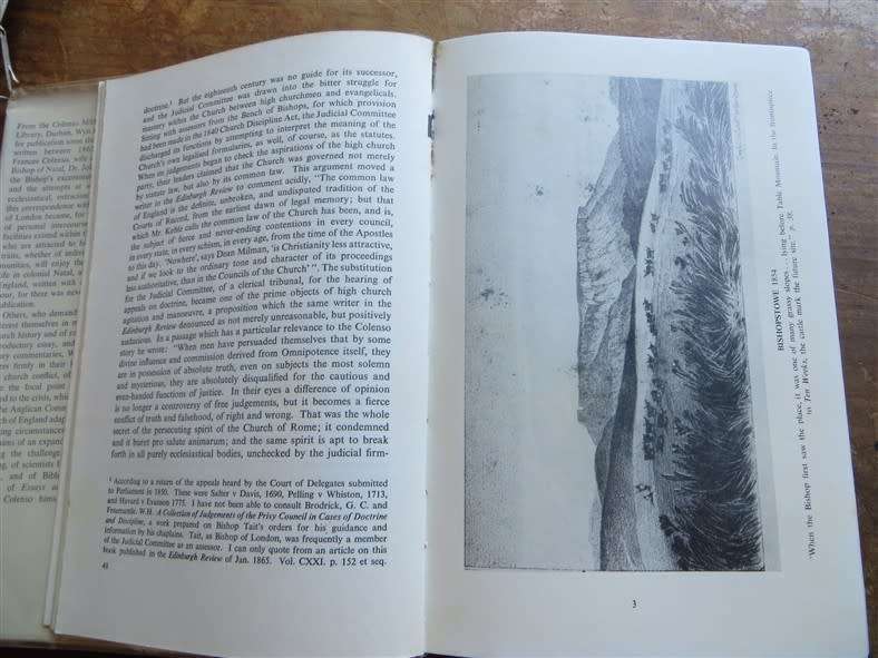 Colenso Letters from Natal - Wyn Rees 1958 1st Edition