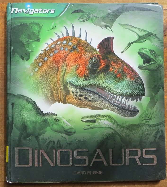Dinosaurs - David Byrne