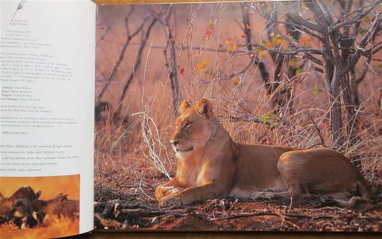 Wild Kruger - Bailey & Young - Excellent Photographs