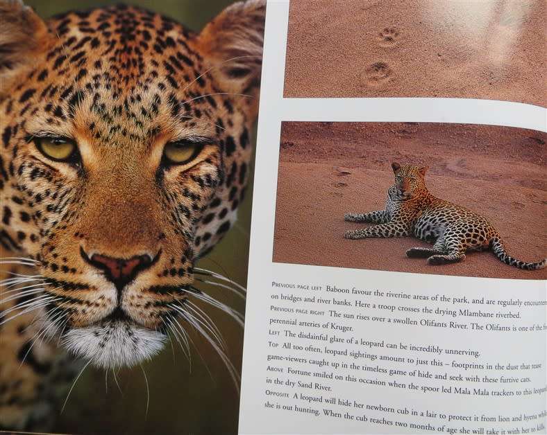Wild Kruger - Bailey & Young - Excellent Photographs