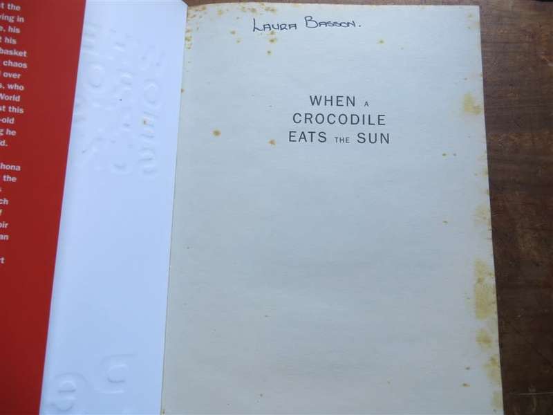 When a Crocodile eats the Sun - Peter Godwin