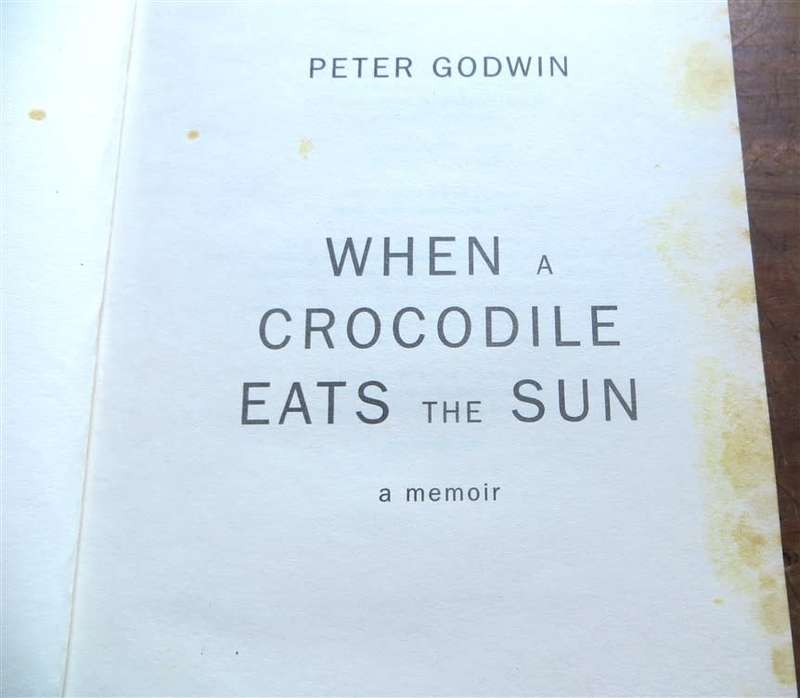 When a Crocodile eats the Sun - Peter Godwin