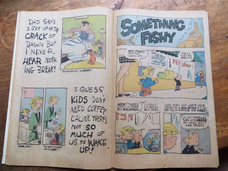 Dennis the Menace - Just Kidding Comic - Error Cutoff