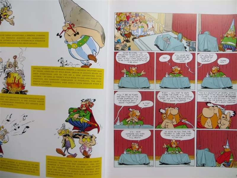 Asterix & the Class Act
