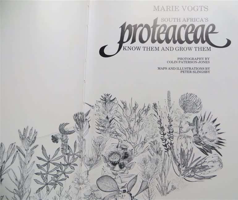 South Africa`s Proteaceae - Marie Vogts First Edition