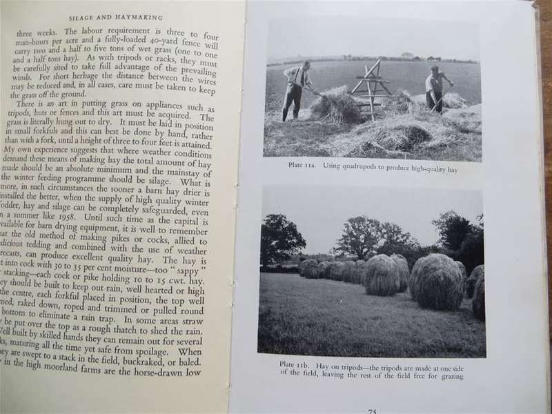 1959 Silage & Haymaking - Ian Moore