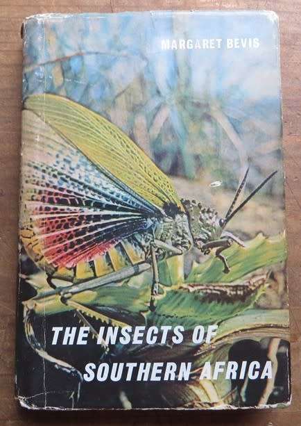 The Insects of Southern Africa - Margaret Bevis 1964