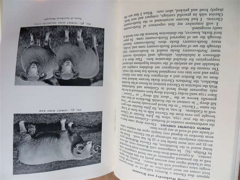 Sheep Husbandry & Diseases - Allan Fraser & John Stamp 1957