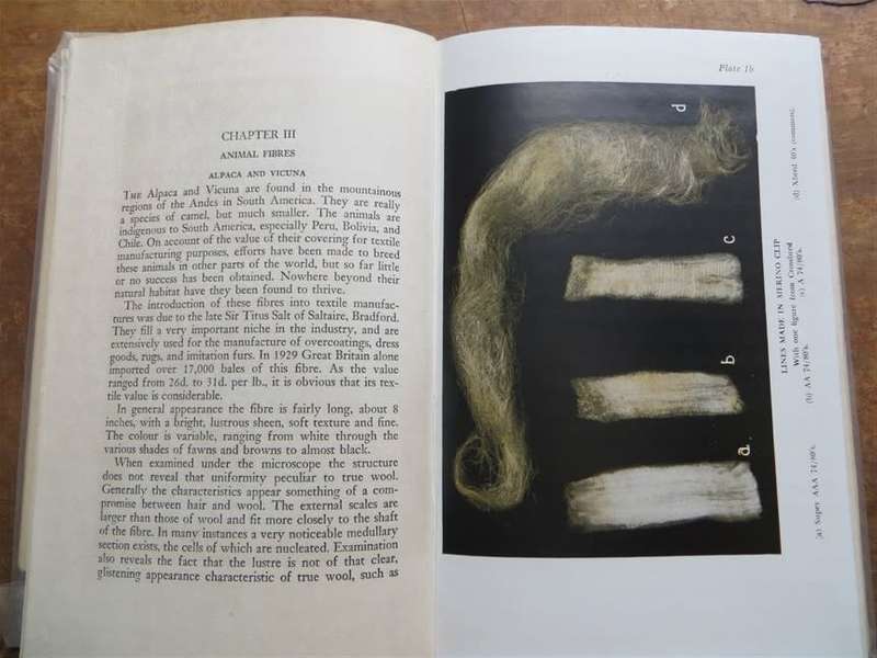Classing the Clip - Clarence E. Cowley