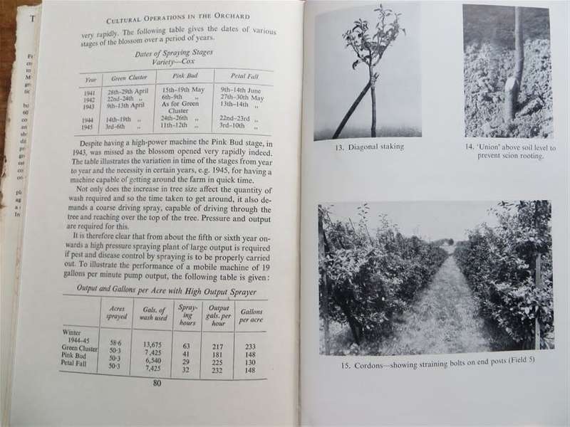 The Fruit Farm - Establishment & Cost - O.G Dorey - dust cover torn