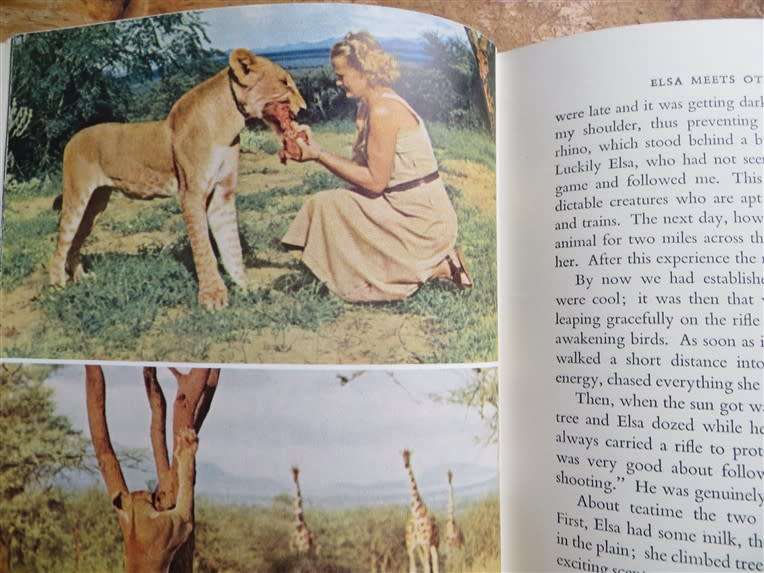 Born Free - Joy Adamson - Lioness of two worlds
