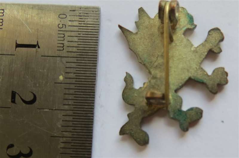 W.B.A Red Dragon Badge