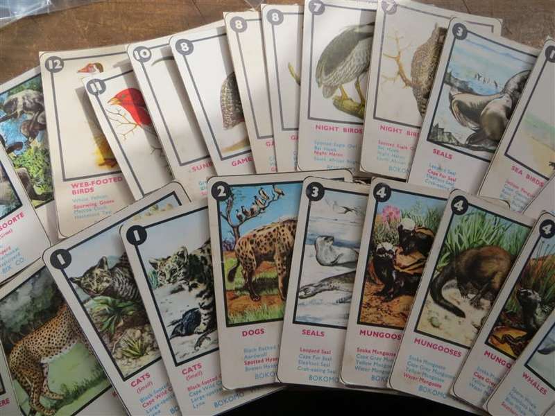 30 x Wildlife Weet Bix Collectors Cards