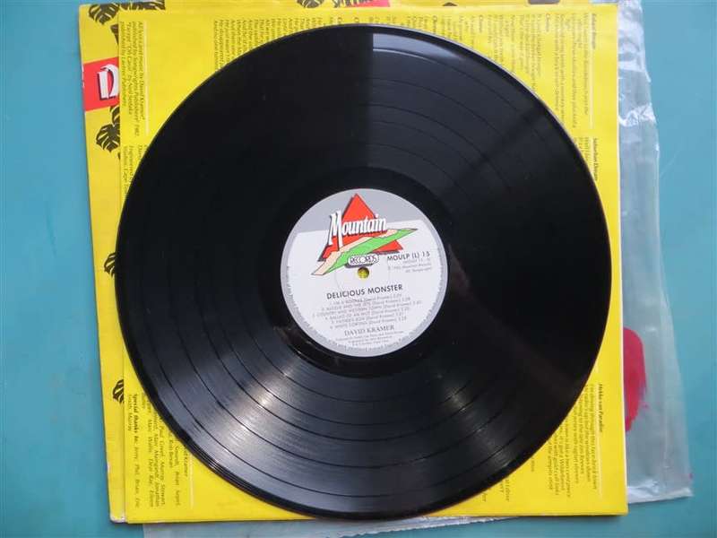 Vintage Vinyl LP - David Kramer - Delicious Monster VG/VG