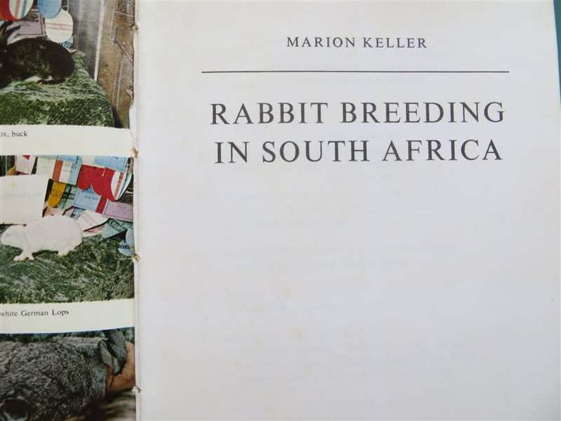 Rabbit Breeding in South Africa - Marion Keller
