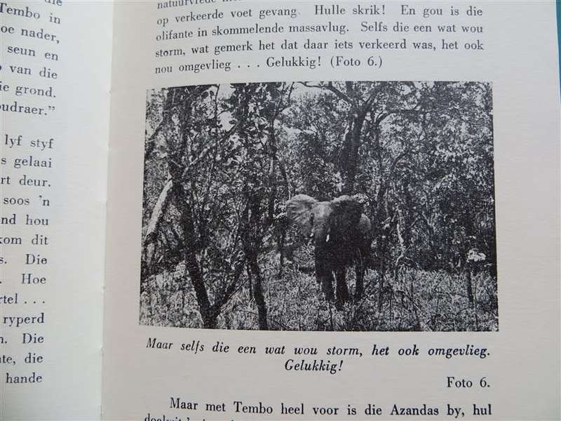 Tembo - The Azandajagter - T.G.Nel