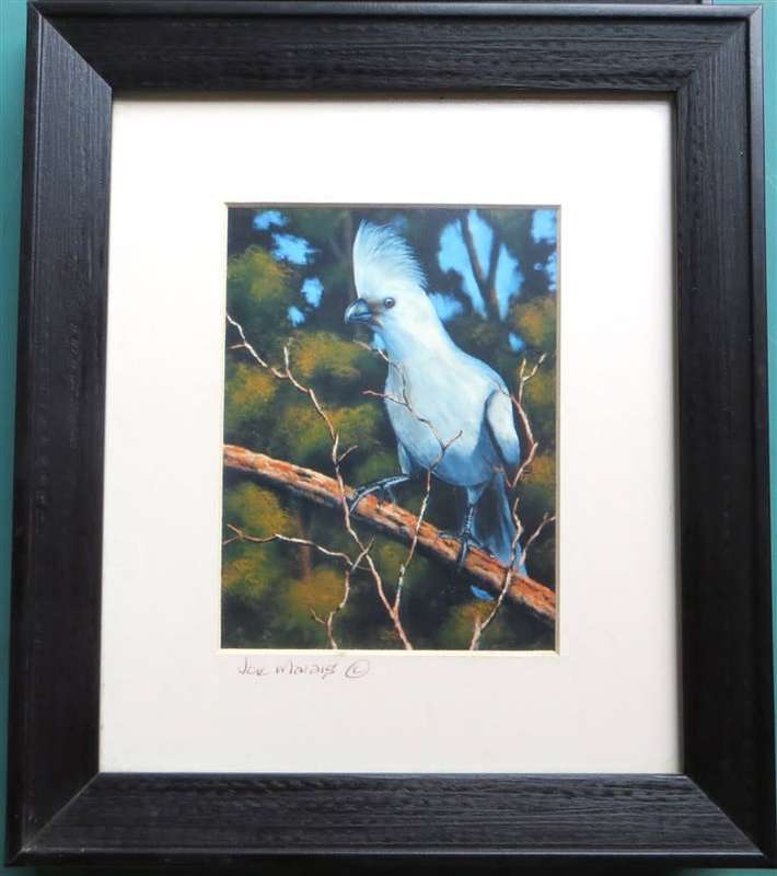 Joe Marais - Bird - signed & framed Print