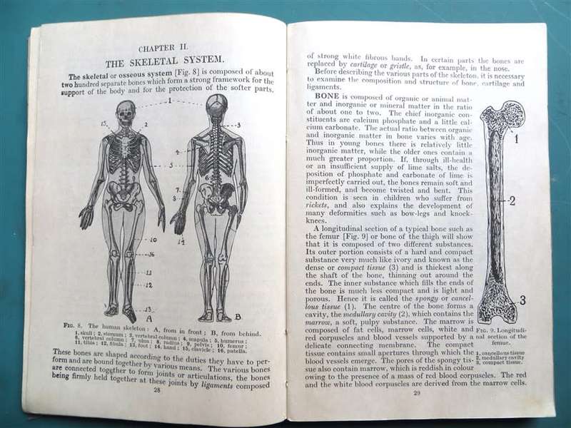 Physiology & Hygiene for South African Schools  - van Bonde & De Villiers