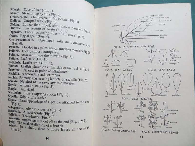 The Forest Trees of Natal - C.J Moll - Hardcover Signed Subscribers Copy