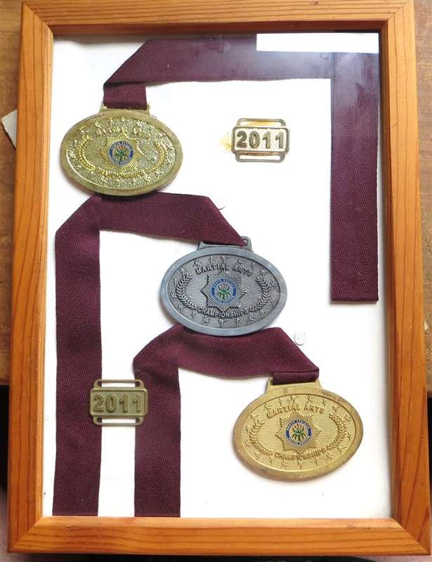 SAPS Martial Arts Medals in Frame