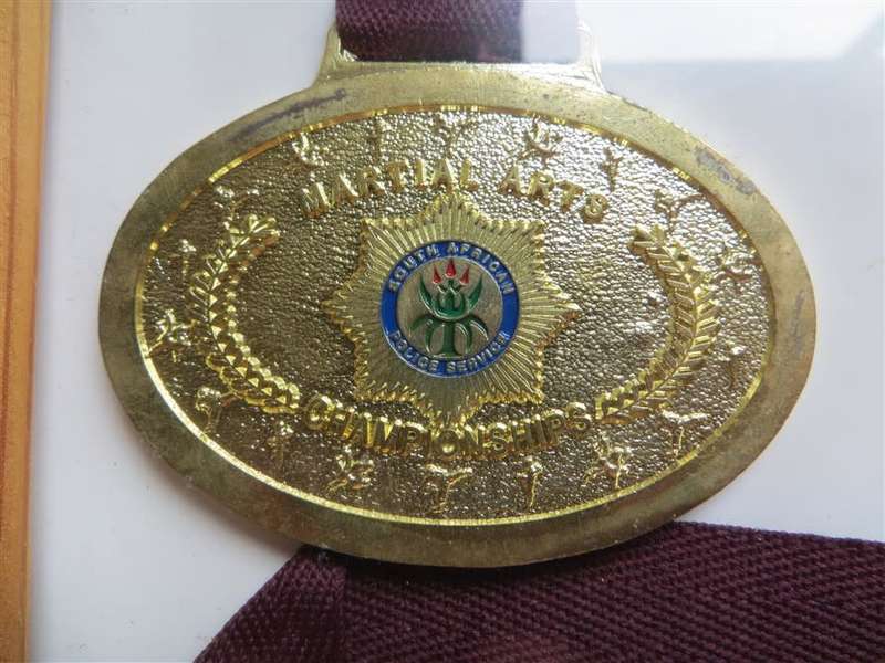 SAPS Martial Arts Medals in Frame
