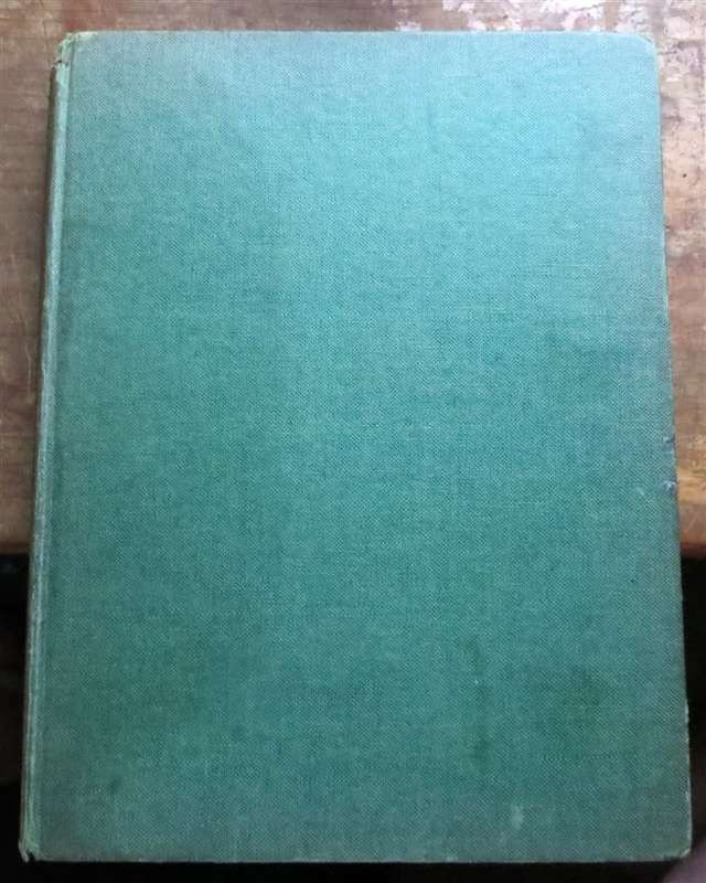 Rhinos belong to Everybody - 1964 hardcover - Bernhard Grzimek