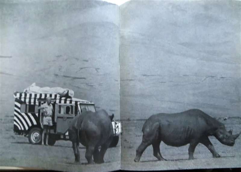 Rhinos belong to Everybody - 1964 hardcover - Bernhard Grzimek