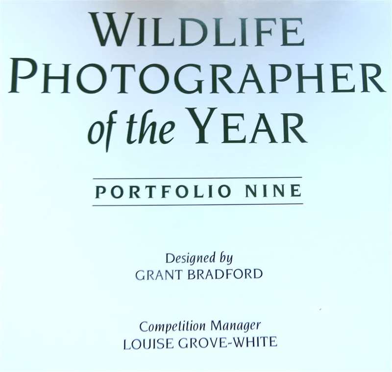Wildlife Photographer of the Year - Hardcover - Great Pics
