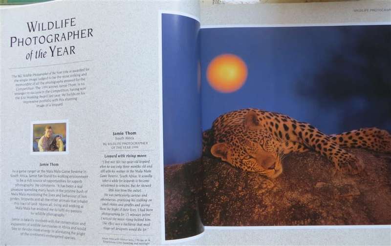 Wildlife Photographer of the Year - Hardcover - Great Pics