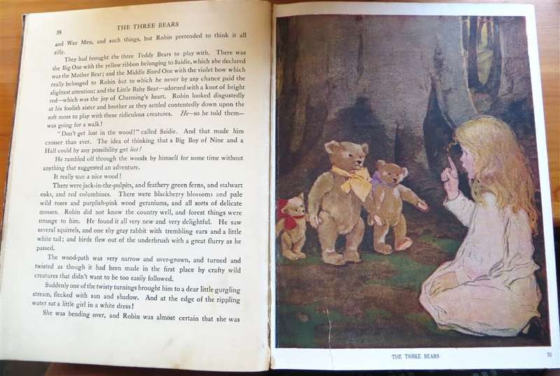 The Now-a-Days Fairy Book - Anna Alice Chapin