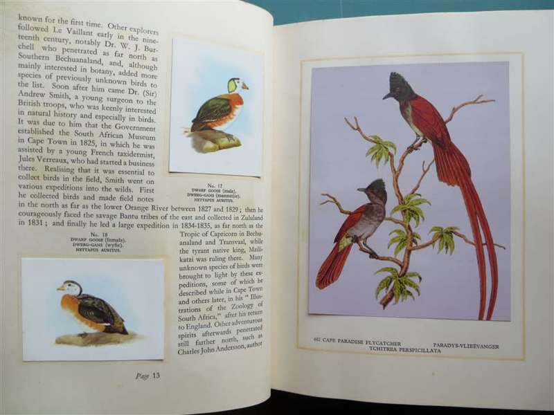 South African Birds Cigarette Card Collection in Album - Complete