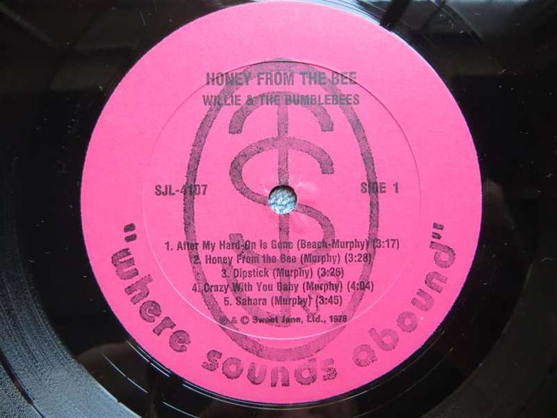 Willie & the Bumblebees Vintage Vinyl LP Cover VG/VG plus