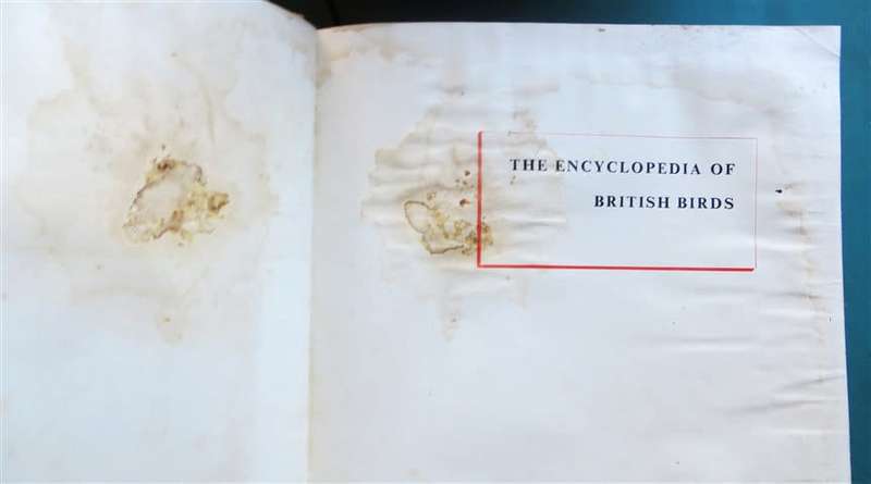Encyclopedia of British Birds - Ludwig Koch - see water damage