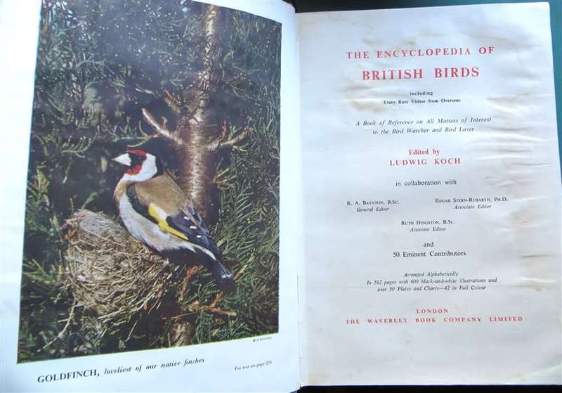 Encyclopedia of British Birds - Ludwig Koch - see water damage
